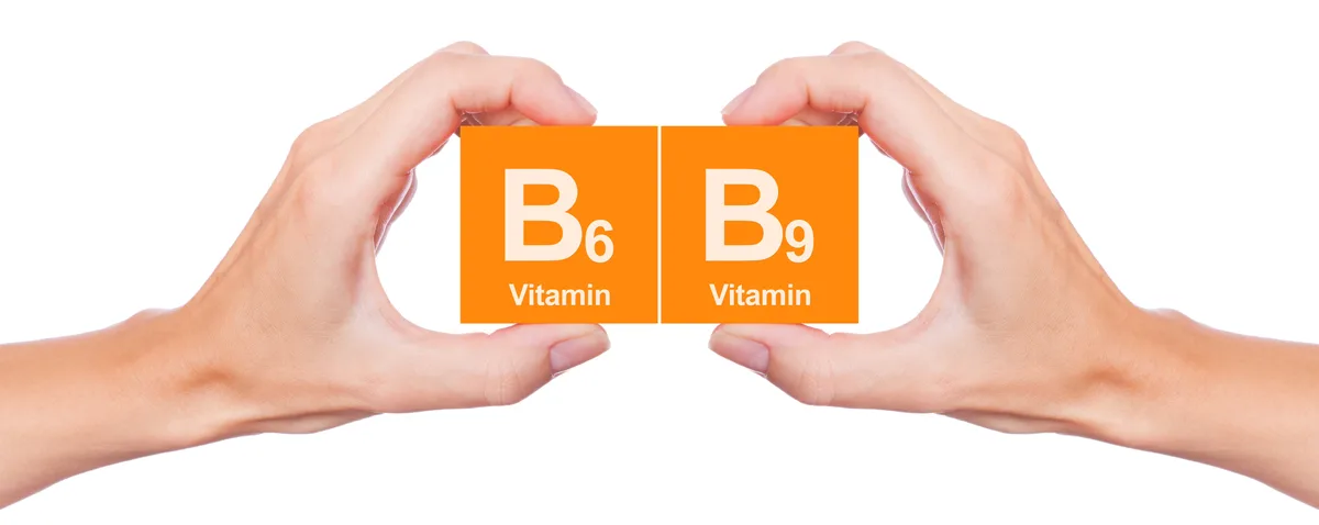 B6 B9