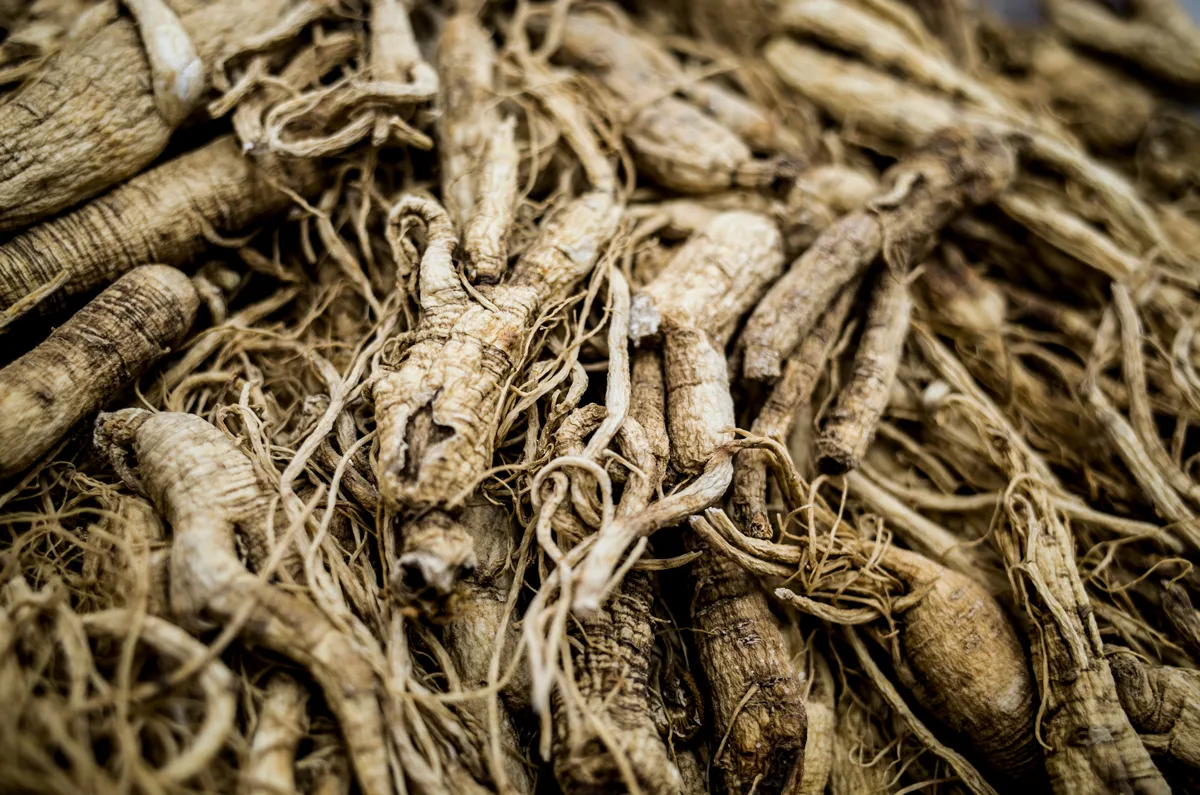 Ginseng