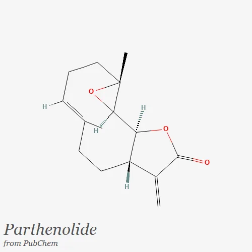 Parthenolide