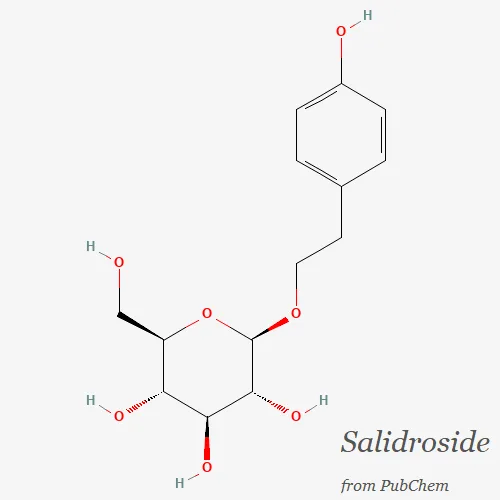 Salidroside