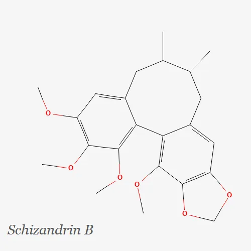 Schisandrin B