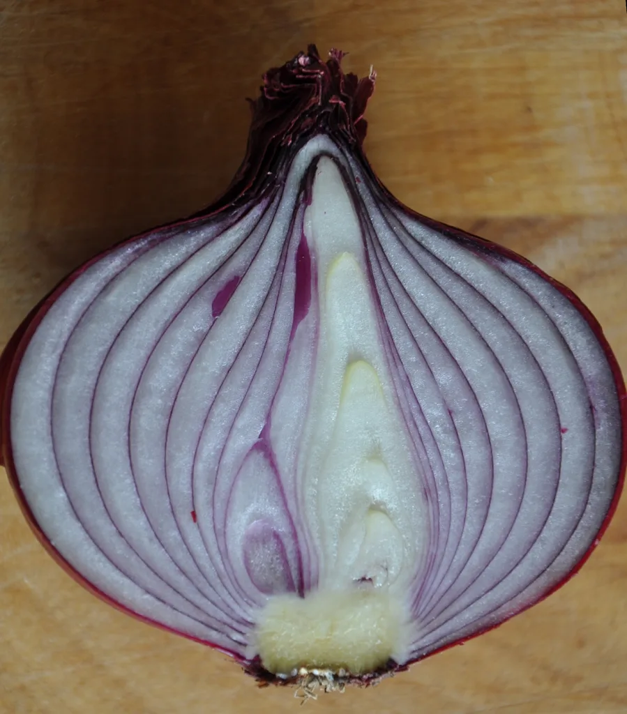 Onion